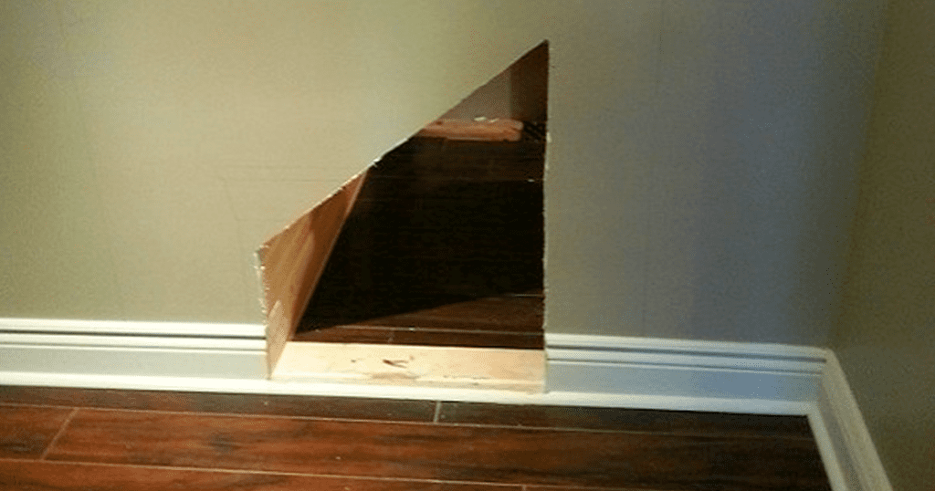 dog house