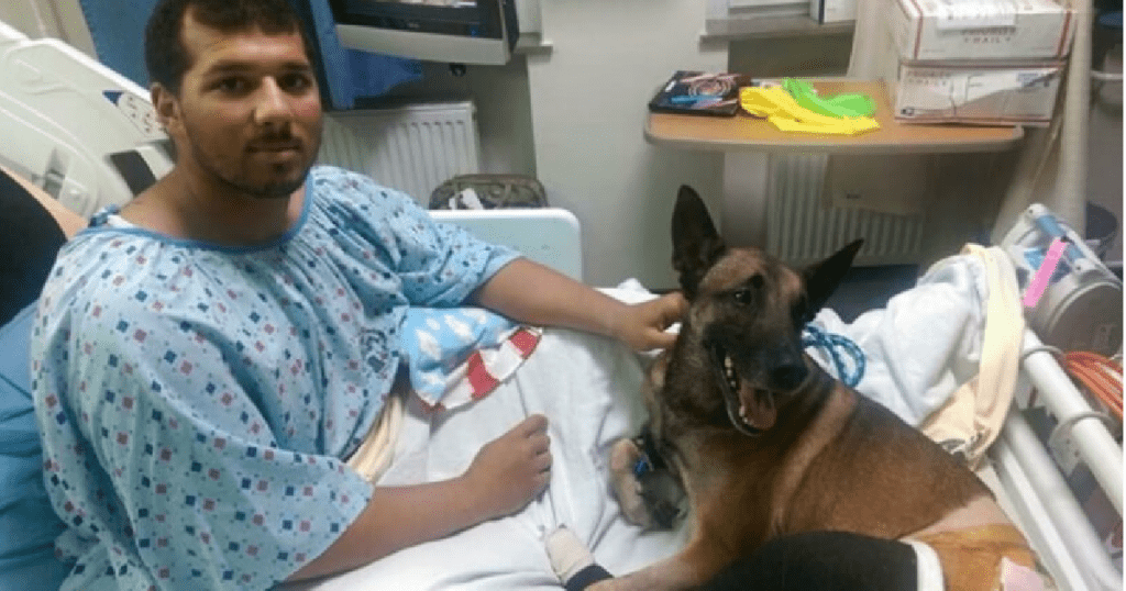 injured soldier and dog share hospital bed