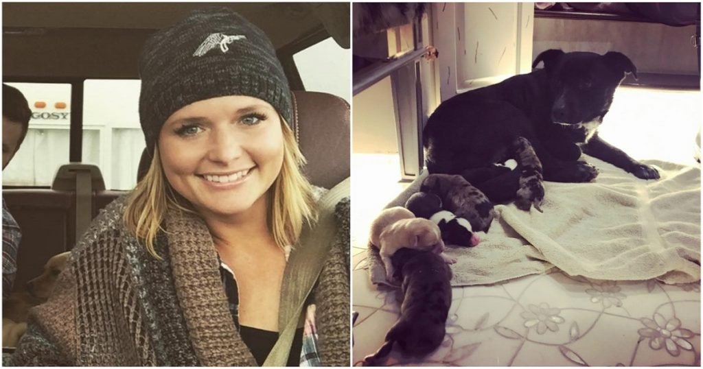 miranda lambert dog rescue