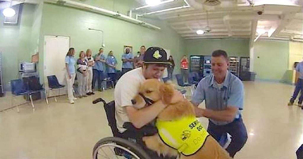 nick meets service dog