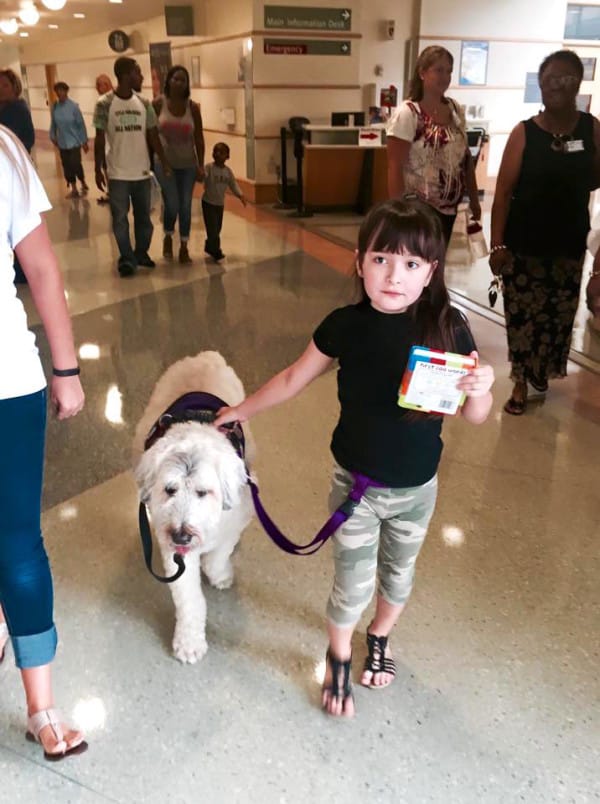 service dogs girl with epilepsy