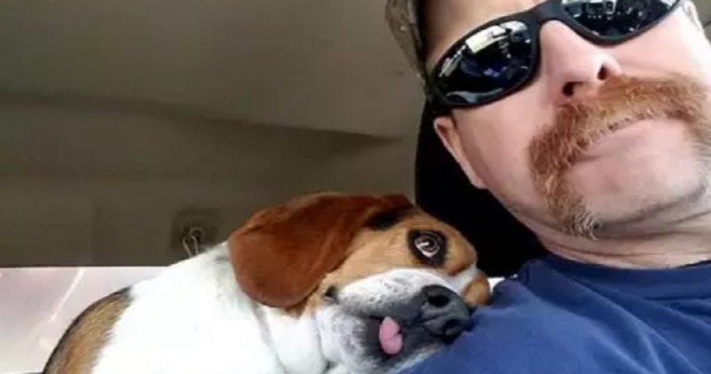 dog hugs man