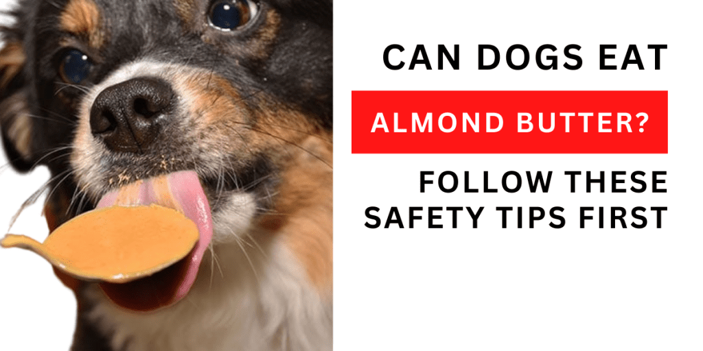 Can dogs eat almond butter