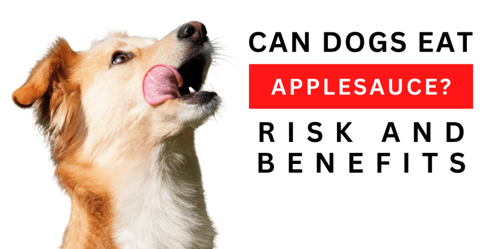 Can dogs eat applesauce