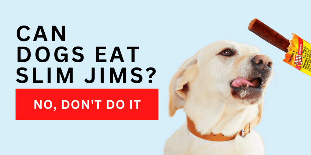 Can dogs eat slim jims
