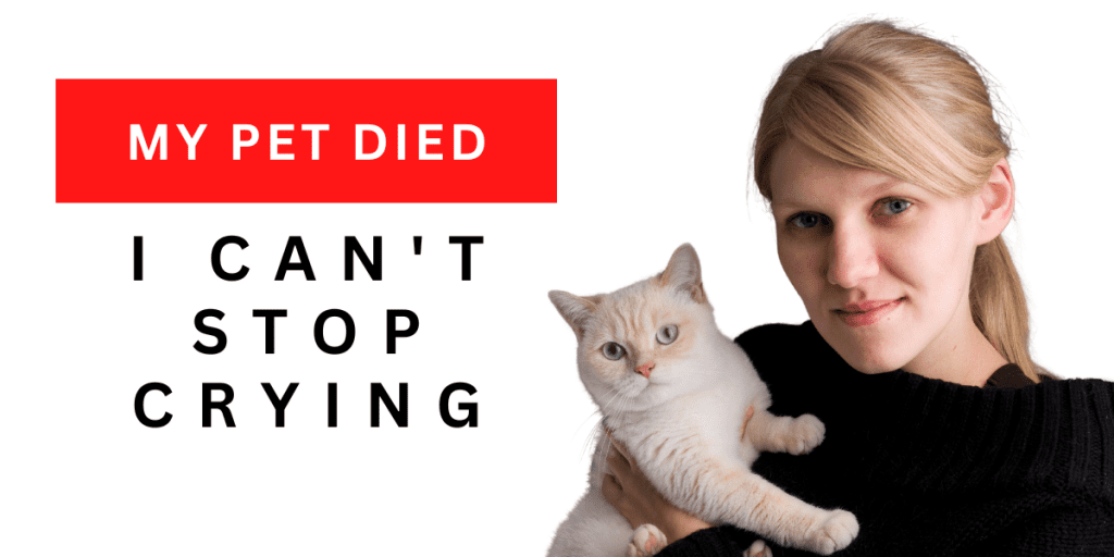 My pet died i cant stop crying