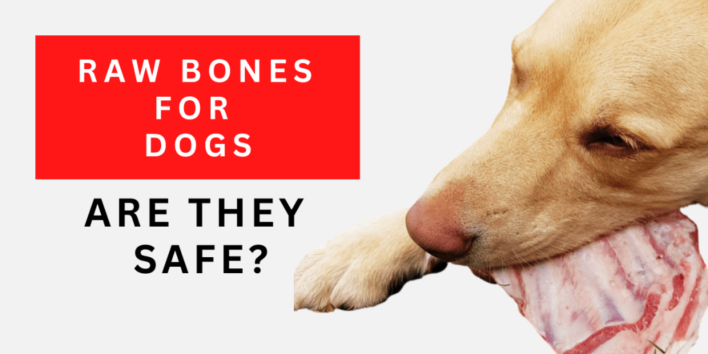 Raw bones for dogs