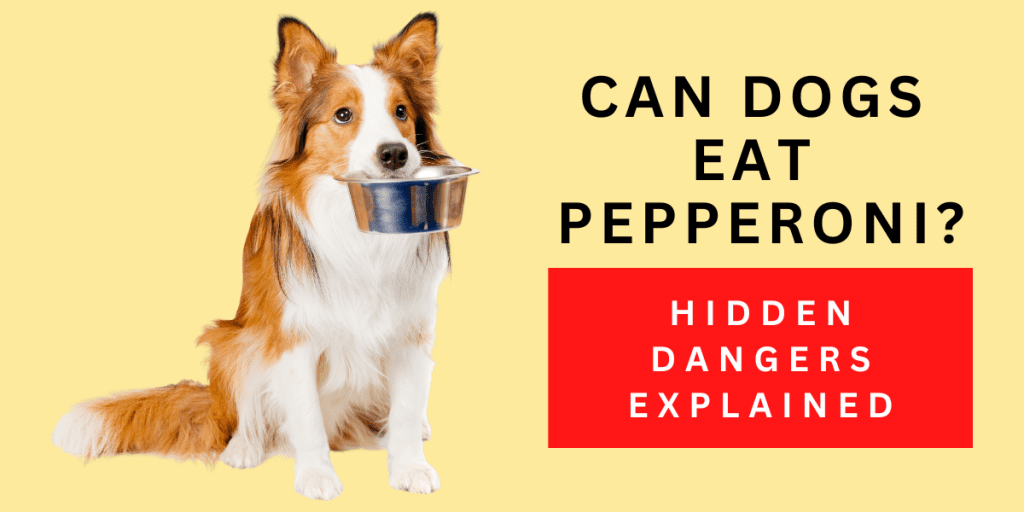 Can dogs eat pepperoni