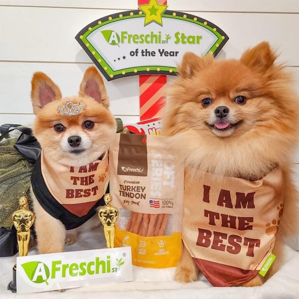 Healthiest Dog Treats