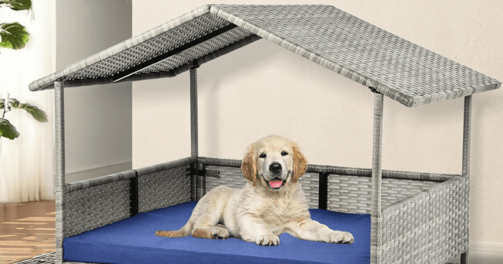 best indoor dog house