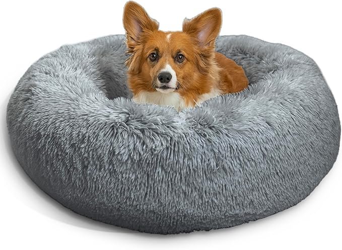 best-donut-dog-bed