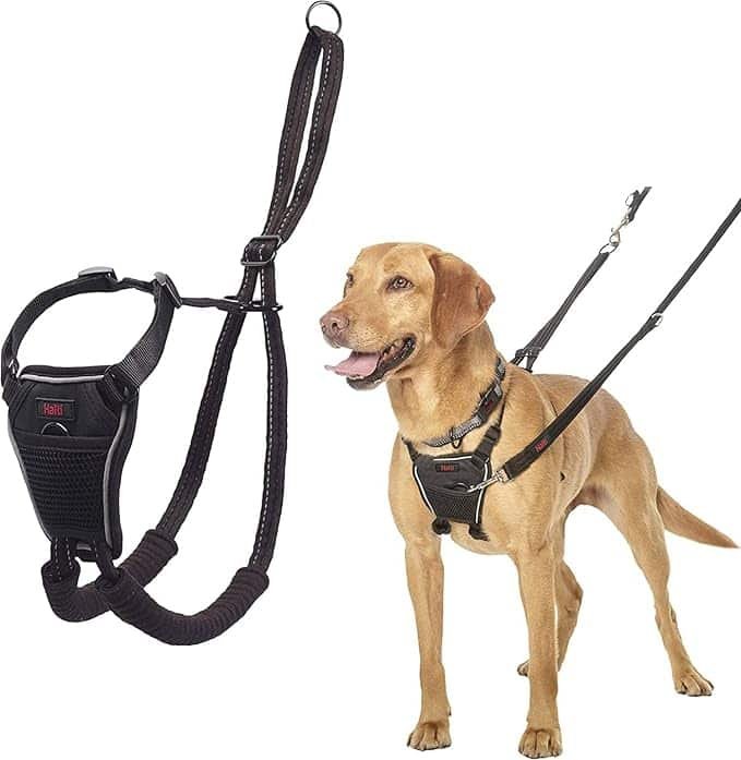 best-dog-harness-to-stop-pulling