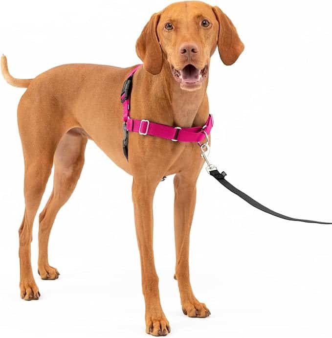 best-dog-harness-to-stop-pulling