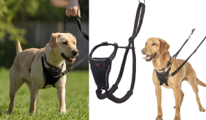 best dog harness to stop pulling