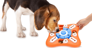 best dog toy puzzles