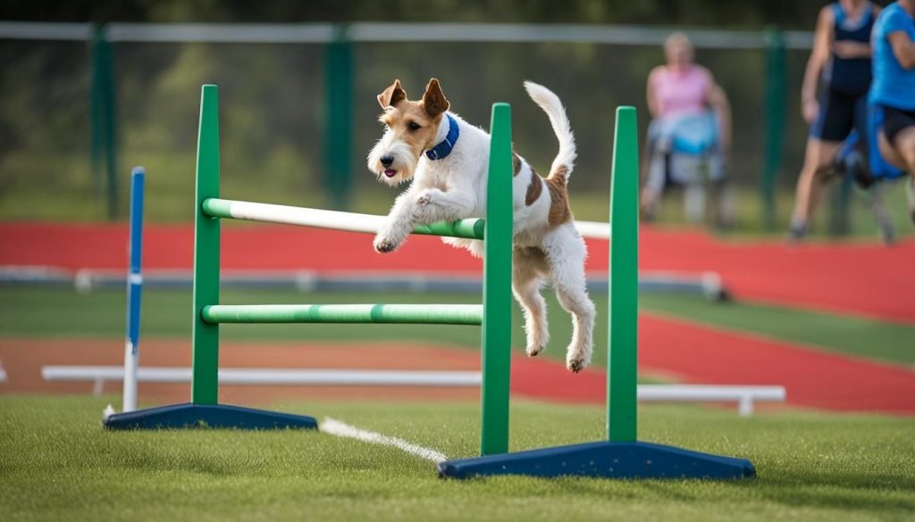Wire Fox Terrier training