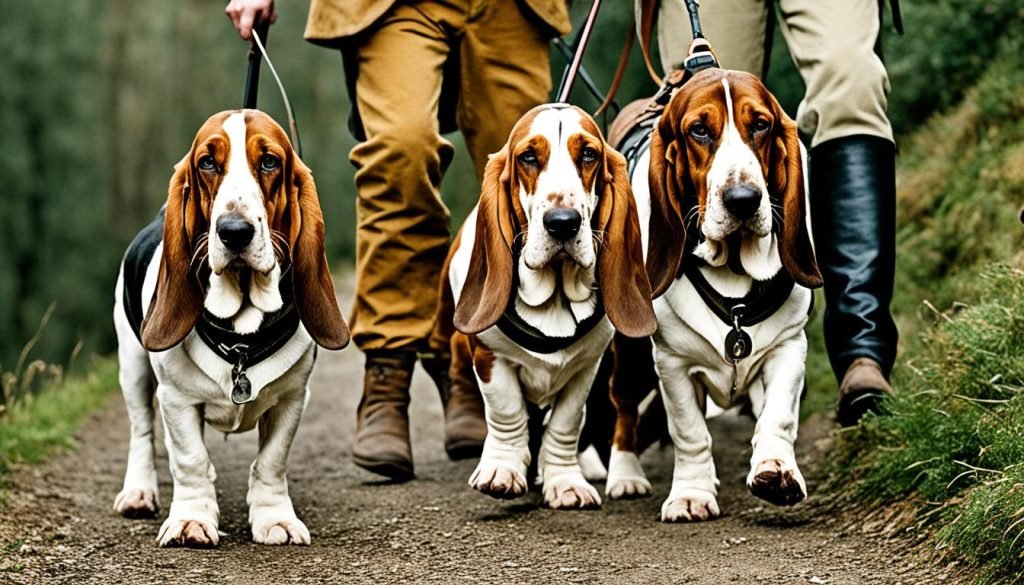 are Basset Hounds smart