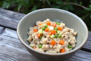 Homemade Turkey and Brown Rice Dog Food