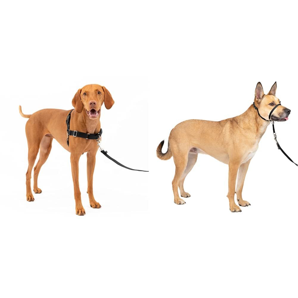 PetSafe Easy Walk No-Pull Dog Harness