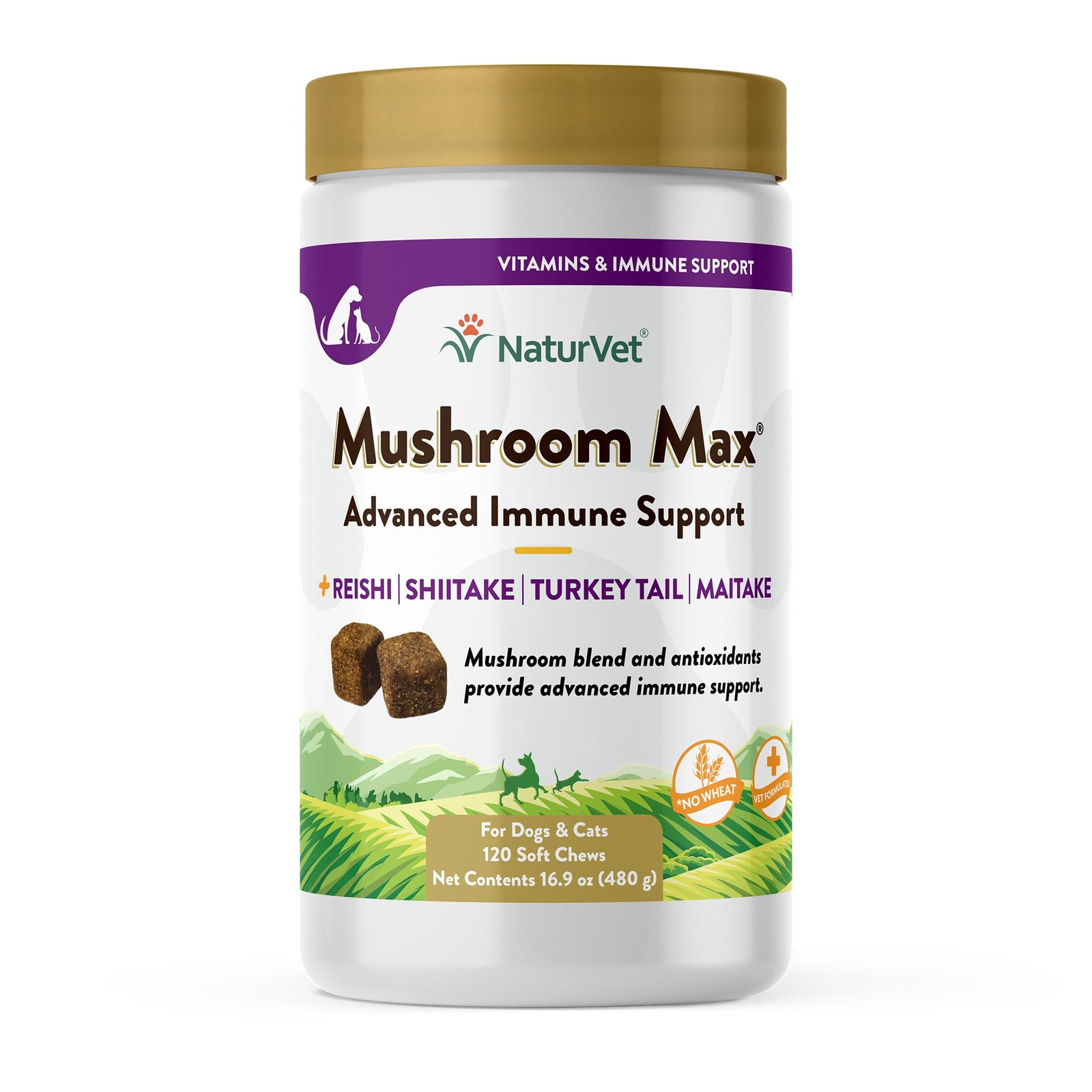 Best Mushroom Supplement for Dogs: Top Picks for Optimal Health 4 NaturVet Mushroom Max Advanced Immune Support Dog Supplement