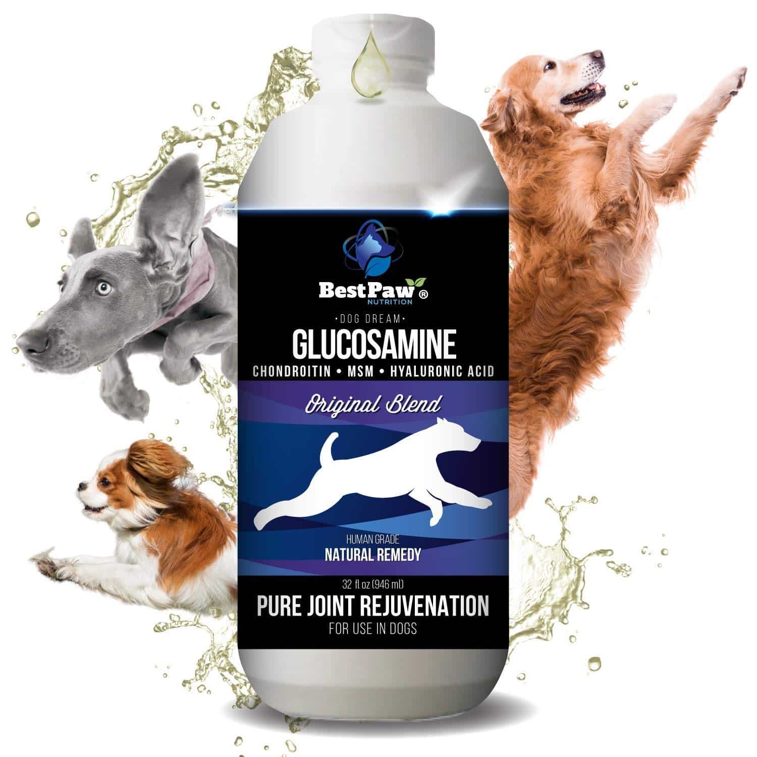 Best Joint Supplement for Dogs with Hip Dysplasia: Top Picks in 2025 10 Best Paw Nutrition Liquid Glucosamine Chondroitin for Dogs