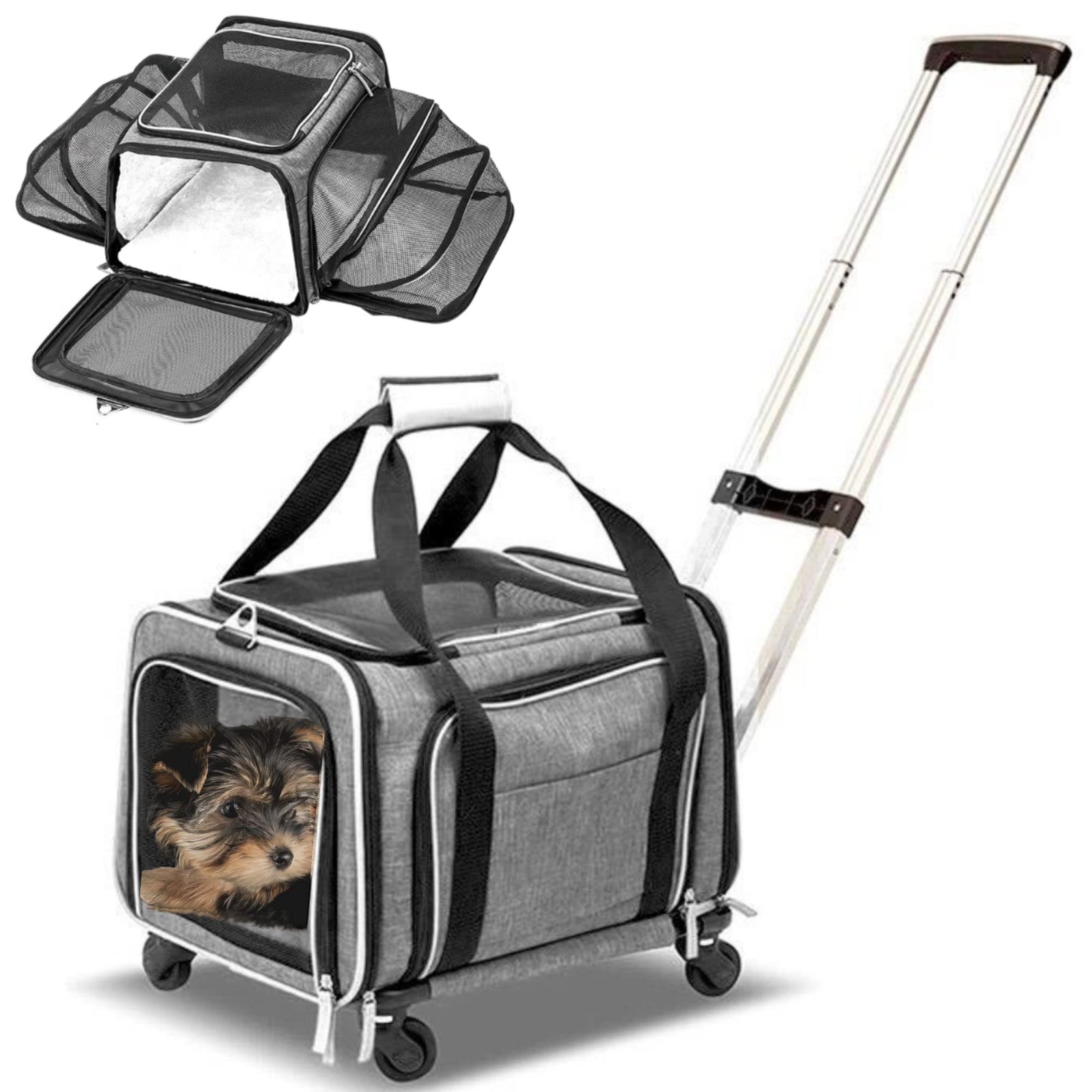 8 Best Airline Approved Dog Carriers for Travel in 2025 10 RUFF LIFE 101 Airline Approved Expandable Premium Pet Carrier on Wheels