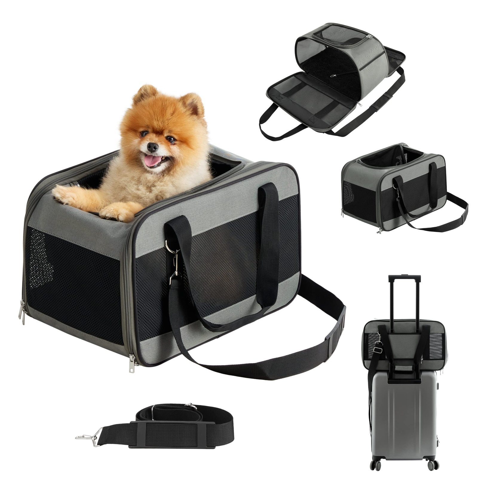 8 Best Airline Approved Dog Carriers for Travel in 2025 4 Lesure Cat Dog Carrier Airline Approved
