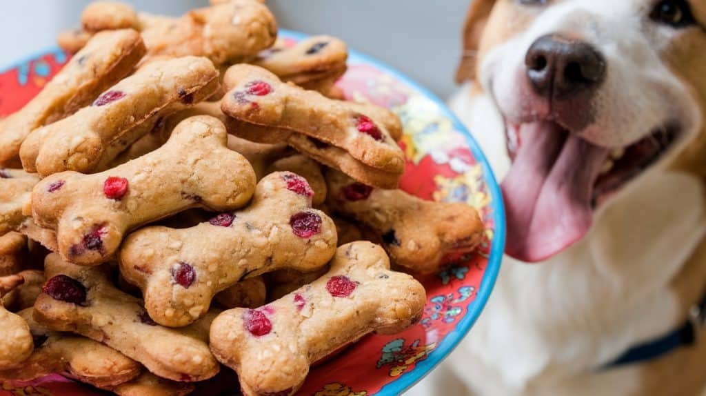 Cranberry and Oatmeal Dog Treats