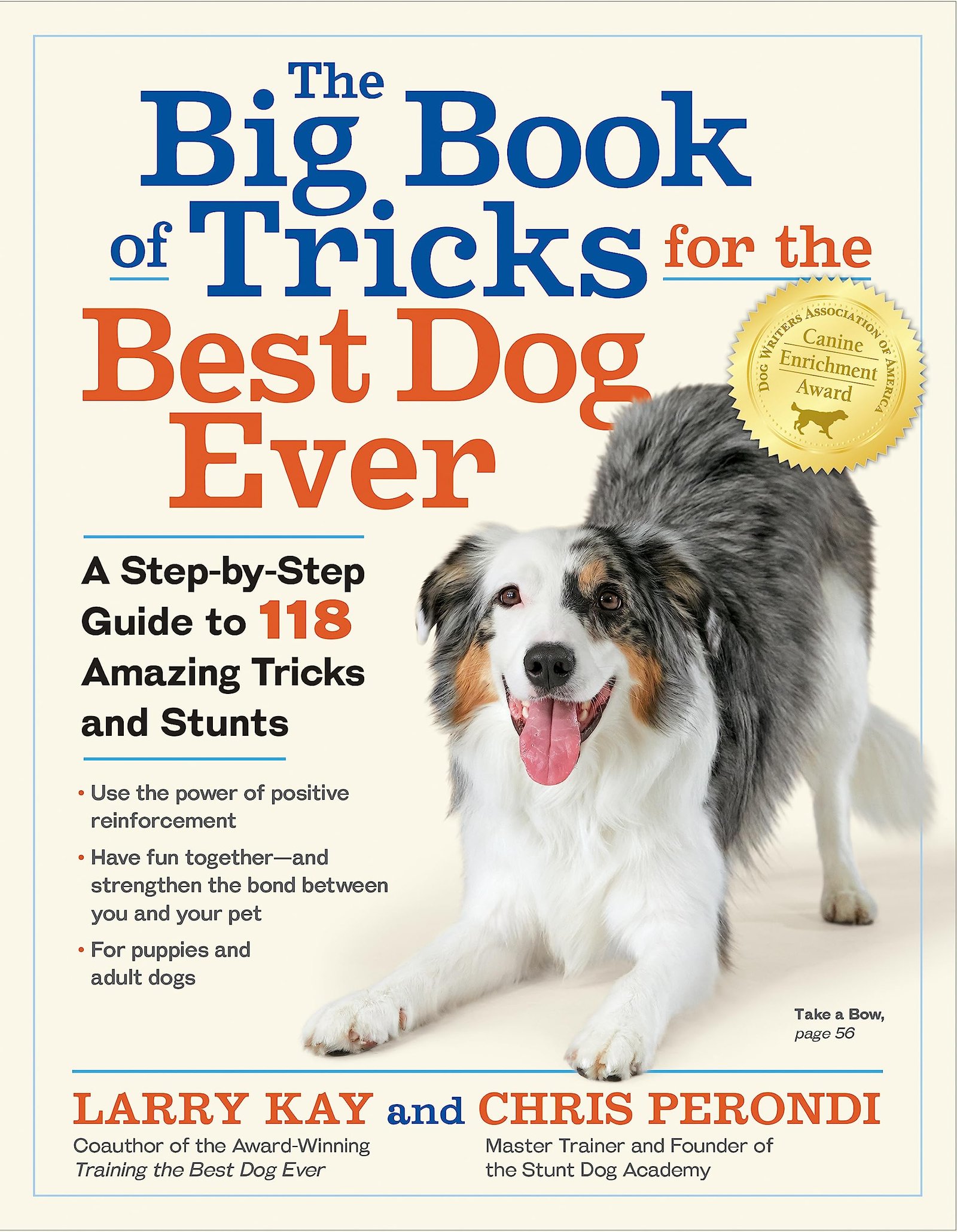 Dog Training Books: Top Picks for 2026 3 The Big Book of Tricks for the Best Dog Ever