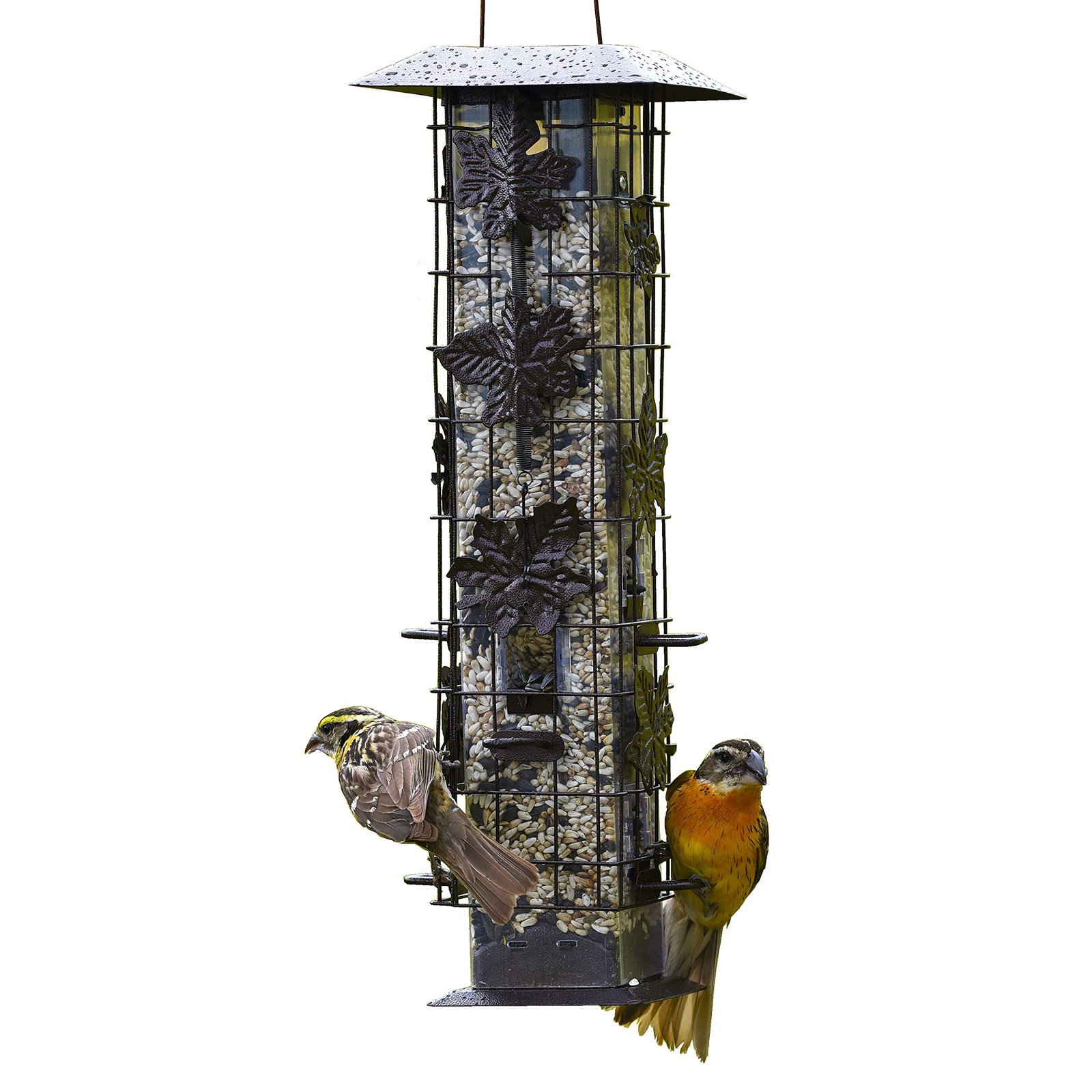 8 Best Bird Feeders for Large Birds: Top Picks for 2024 8 Perky-Pet Squirrel-Be-Gone Bird Feeder