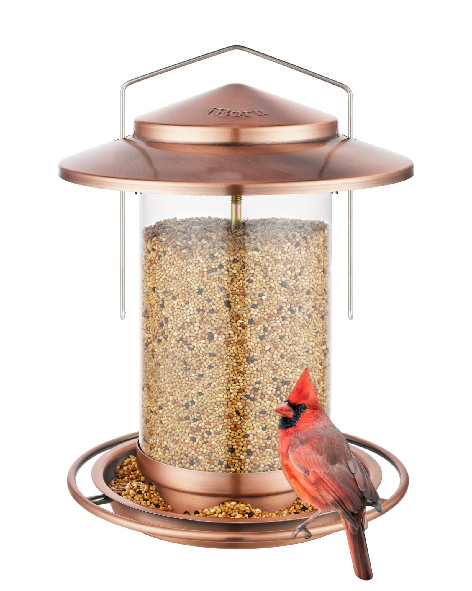 8 Best Bird Feeders for Attracting a Variety of Birds 4 iBorn Metal Bird Feeder for Outside Hanging