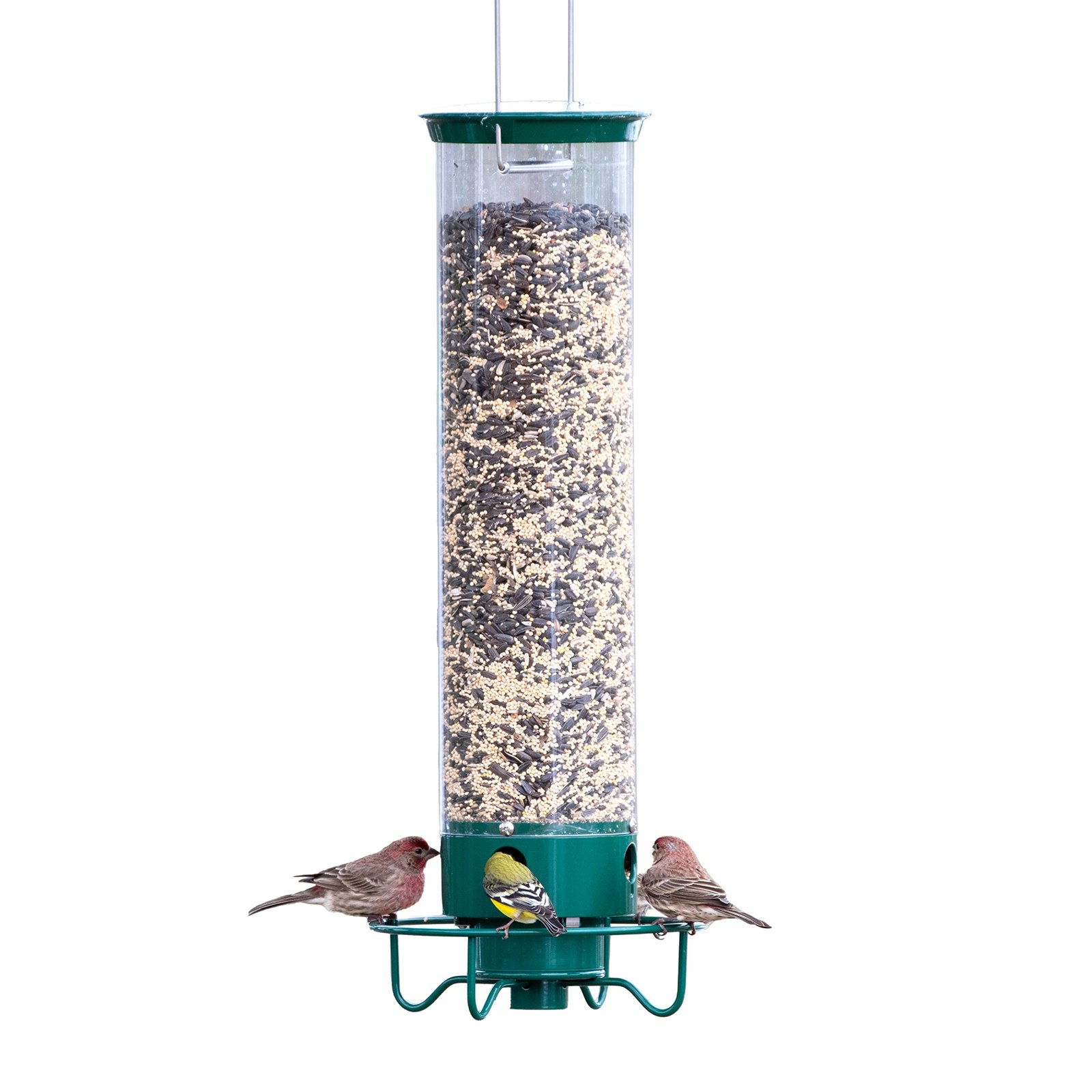 8 Best Bird Feeders for Large Birds: Top Picks for 2024 4 Droll Yankees YF-M Yankee Flipper Squirrel-Proof Wild Bird Feeder