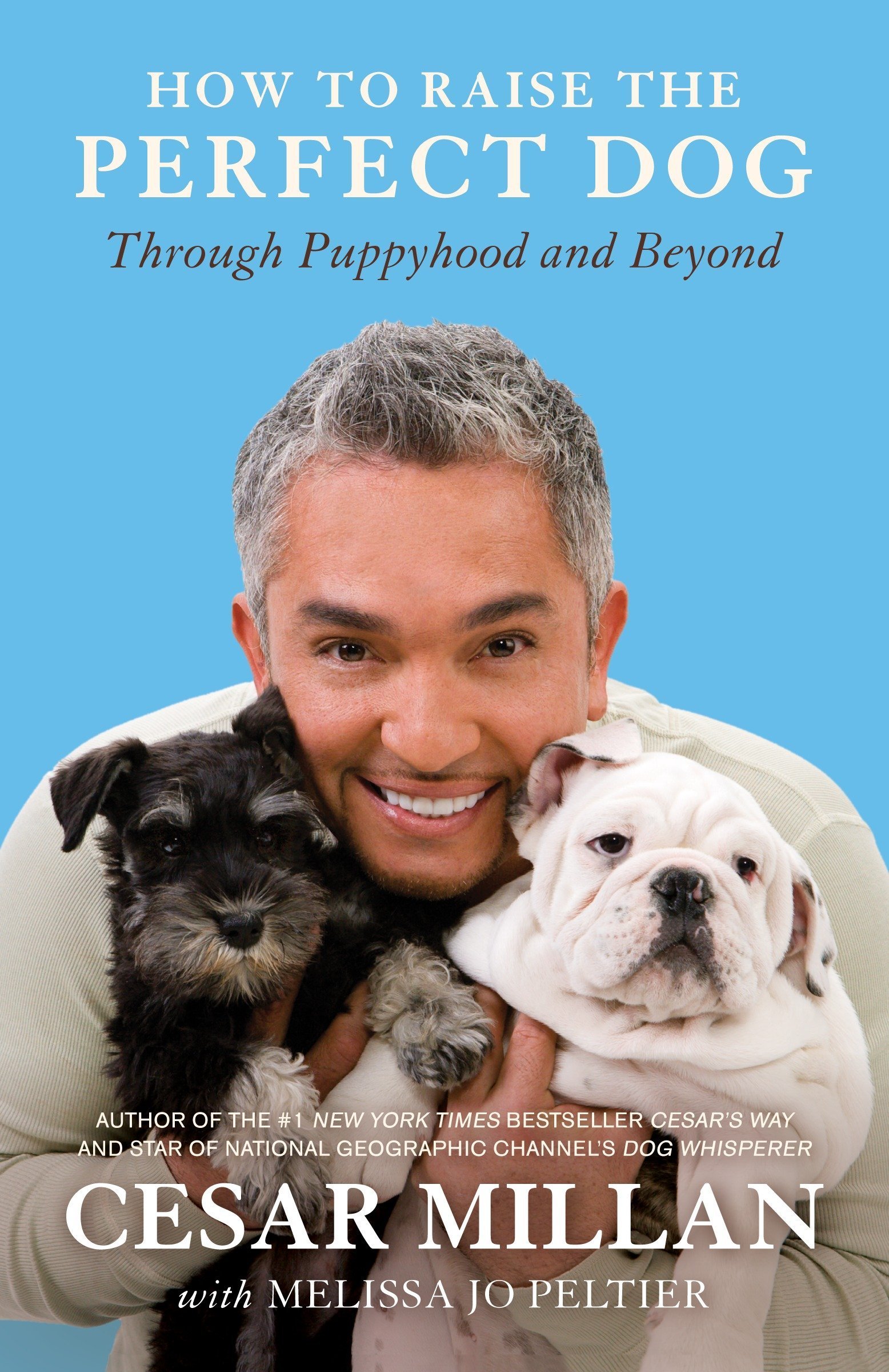 Dog Training Books: Top Picks for 2026 5 How to Raise the Perfect Dog: Through Puppyhood and Beyond