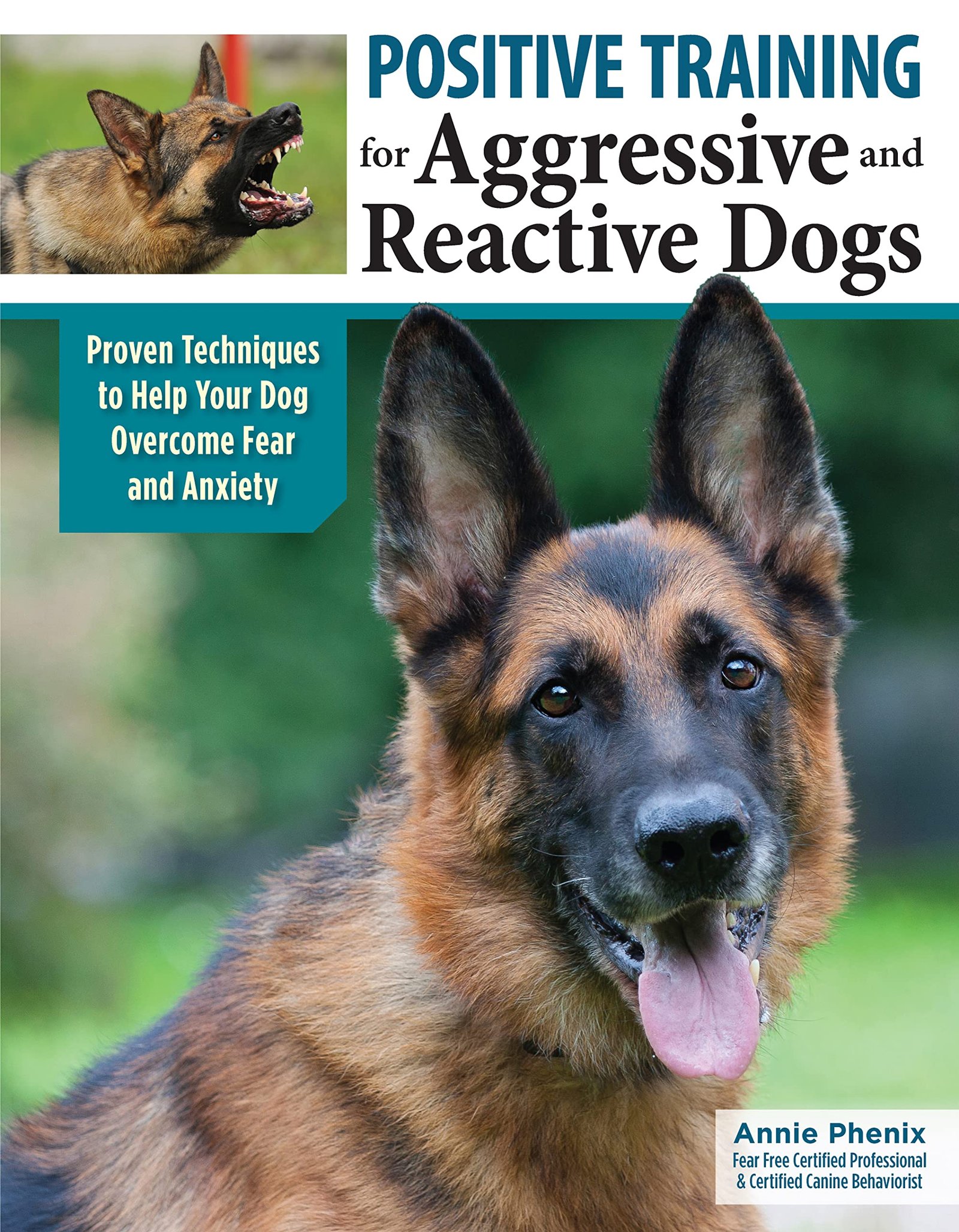 Dog Training Books: Top Picks for 2026 6 Positive Training for Aggressive and Reactive Dogs
